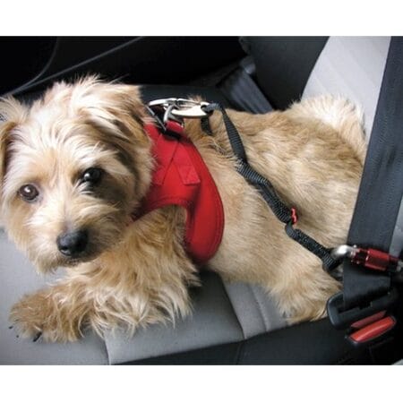 auto sicherheitsgurt V6