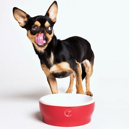 keramik napf cloud7 jamie rot