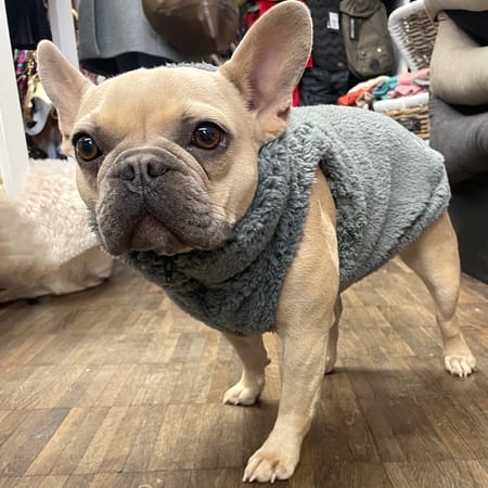 hunde fleece veste grey