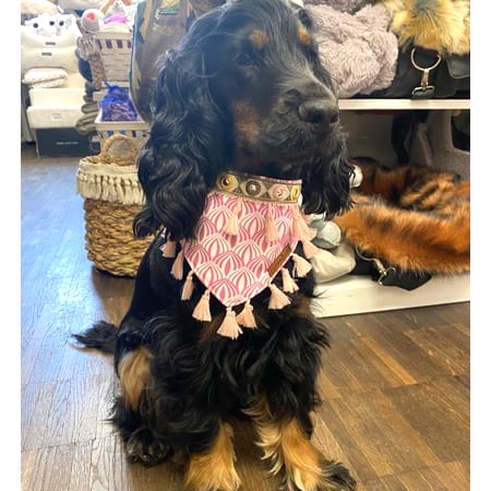 boho bandana sandy moon