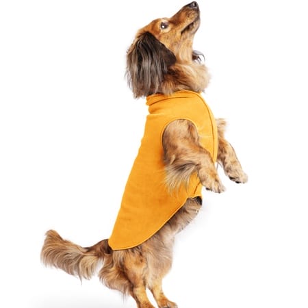 stretch fleece orange von goldpaw