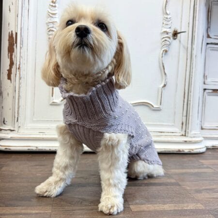 hunde cashmere lavendel sweater pearl