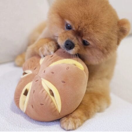 cheese bread hundespielzeug